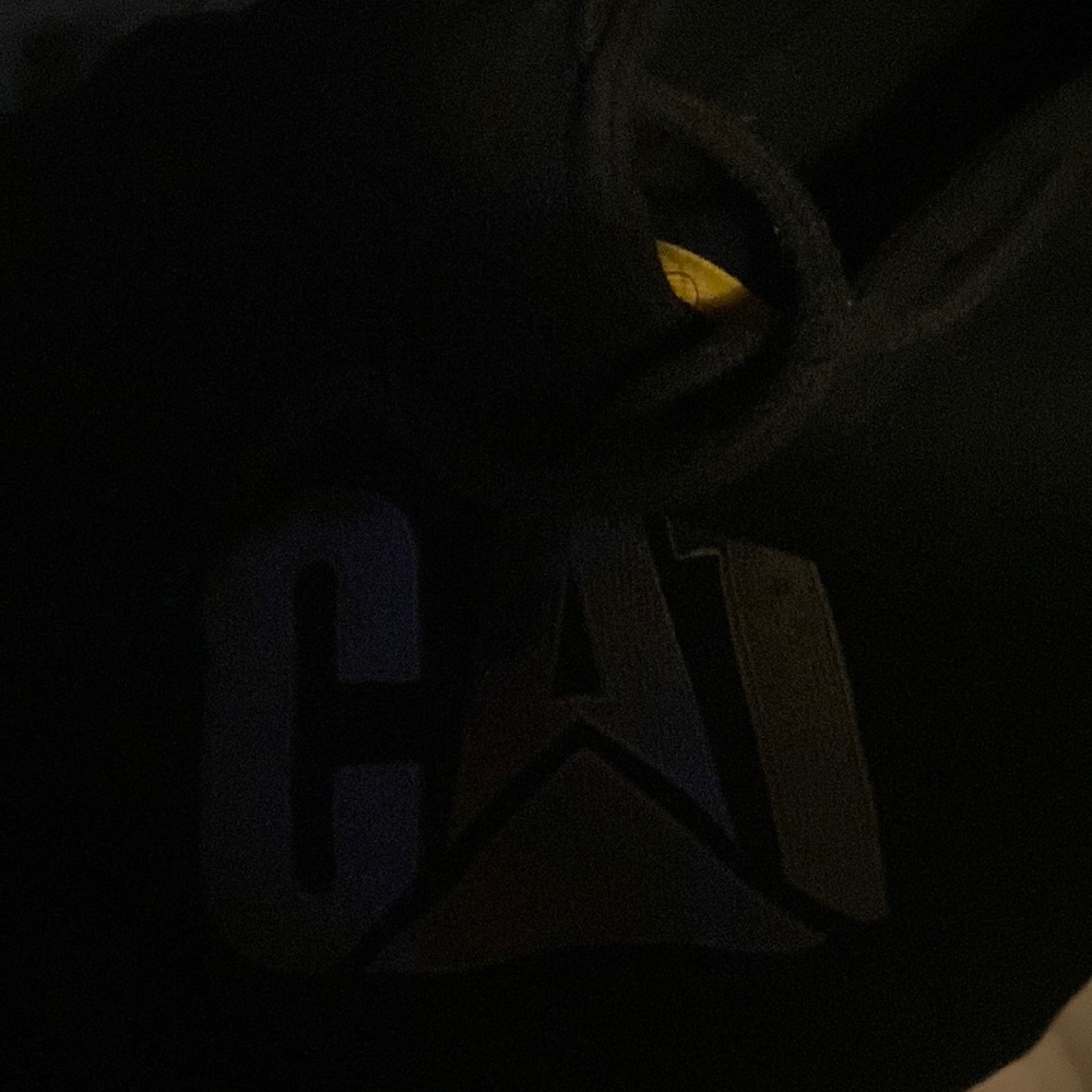 Cat hoodie